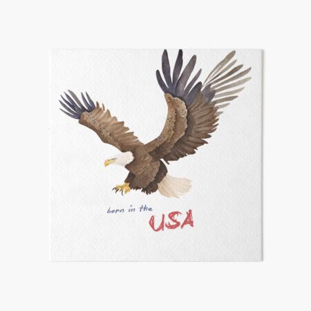 Artikel-Vorschau von Geboren in den USA – Aquarell Weißkopfseeadler, designt und verkauft von HonkyTonk2025.