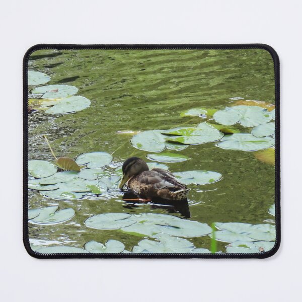 Item preview, The Water Lilies And The Mallard designed and sold by hurmerinta.