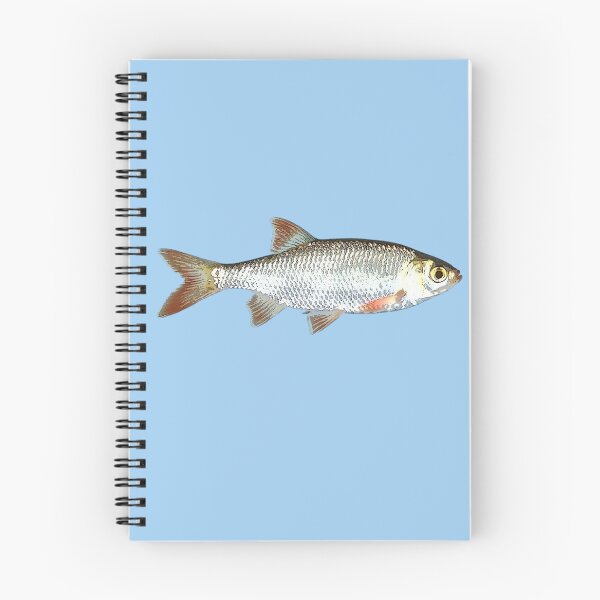 Item preview, Common Rudd Color Design designed and sold by designsasstultd.