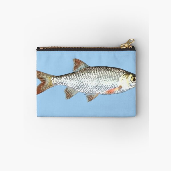 Item preview, Common Rudd Color Design  designed and sold by designsasstultd.