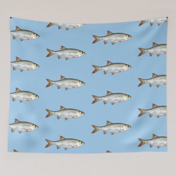 Item preview, Common Rudd Color Design  designed and sold by designsasstultd.