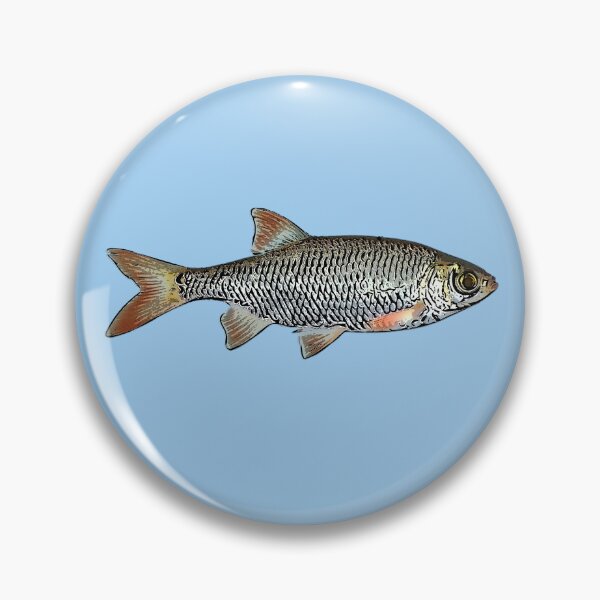 Item preview, Common Rudd Black Alternate Design  designed and sold by designsasstultd.