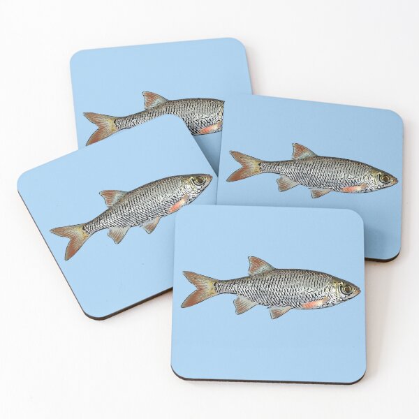 Item preview, Common Rudd Black Alternate Design  designed and sold by designsasstultd.
