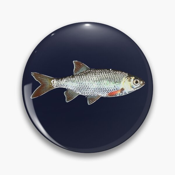 Item preview, Common Rudd White Alternate Design  designed and sold by designsasstultd.