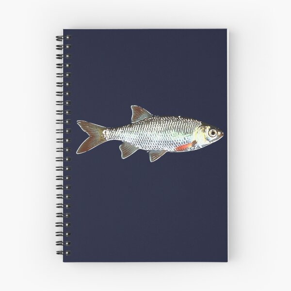 Item preview, Common Rudd White Alternate Design designed and sold by designsasstultd.