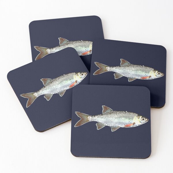 Item preview, Common Rudd White Alternate Design  designed and sold by designsasstultd.