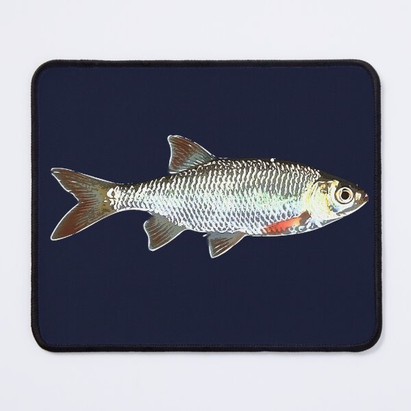 Item preview, Common Rudd White Alternate Design  designed and sold by designsasstultd.