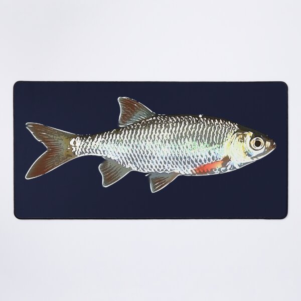 Item preview, Common Rudd White Alternate Design  designed and sold by designsasstultd.