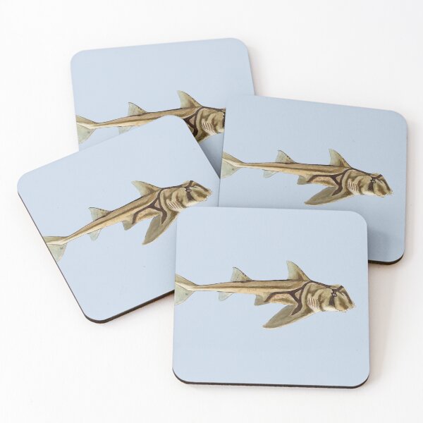 Item preview, PORT JACKSON SHARK-Heterodontus portjacksoni designed and sold by BEATRIZ ABAITUA.