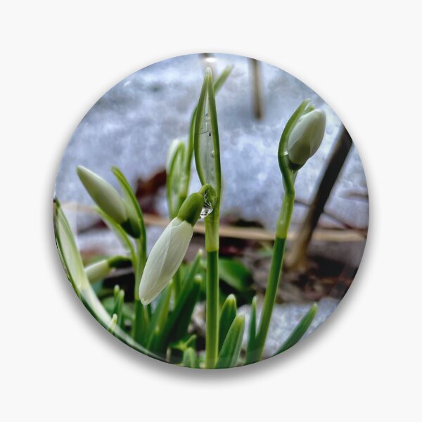 Item preview, First Flowers of Spring designed and sold by JWPortman.