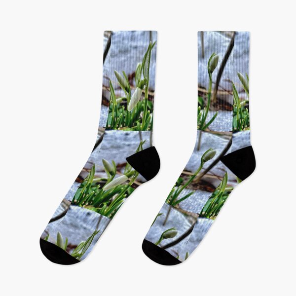 Item preview, First Flowers of Spring designed and sold by JWPortman.