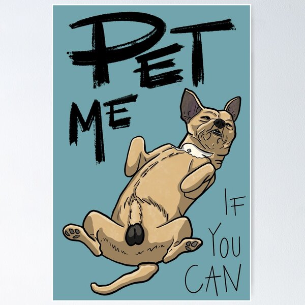 Artikel-Vorschau von Pet Me (If you can), designt und verkauft von MotejART.