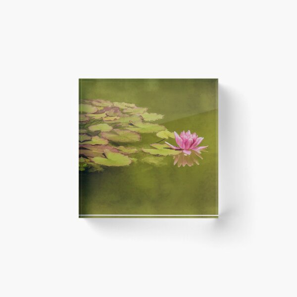 Item preview, Pink Water Lily and Its Reflection designed and sold by Gerda Grice Photography.