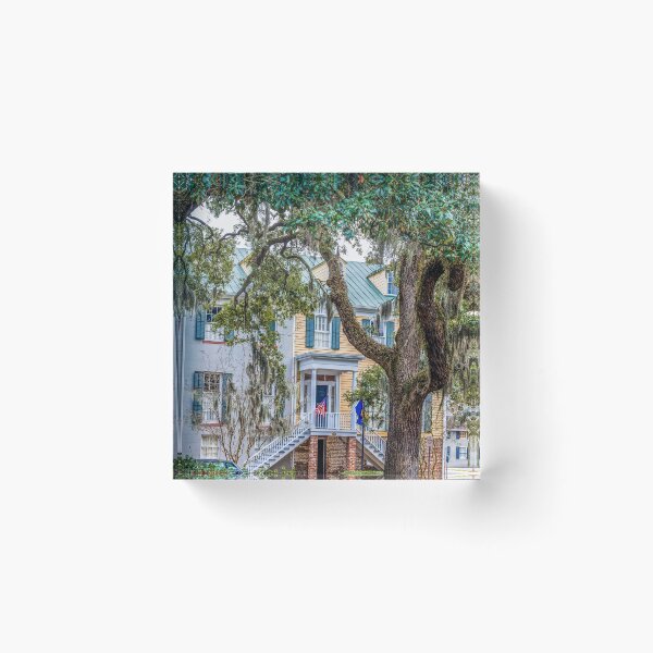 Item preview, Townhouse Behind Southern Oaks designed and sold by dbvirago.