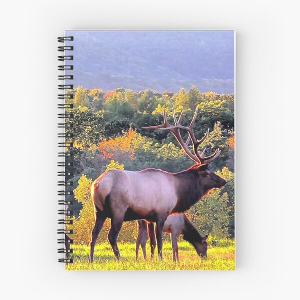 Aperçu de l'œuvre Troupeau de wapiti d'automne créée et vendue par Windwalker-Gear.