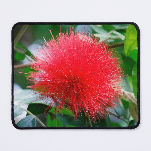 Item preview, Red Puff Ball designed and sold by Tim Dusenberry.