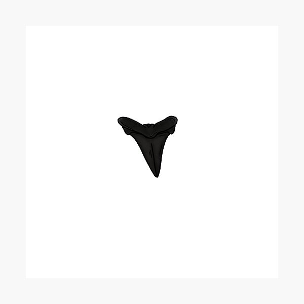 Item preview, Black Shark Tooth designed and sold by rocklandsticker.