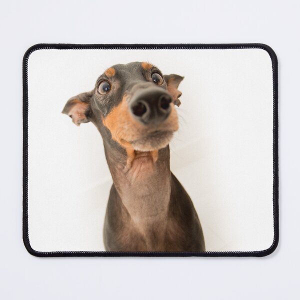 Item preview, A really cute dog designed and sold by VolcanoMist.