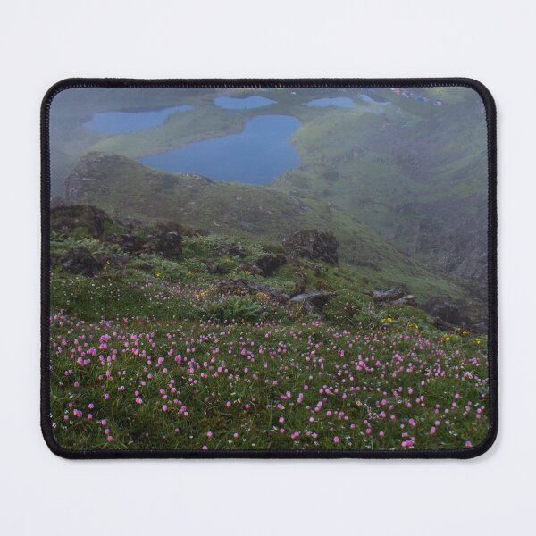 Item preview, Vibrant Flowers Against Himalayan Glacier Backdrop designed and sold by shuttergallery.