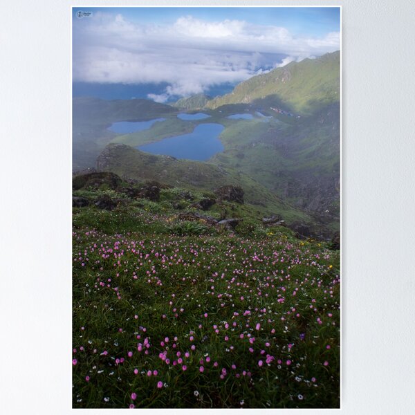 Item preview, Vibrant Flowers Against Himalayan Glacier Backdrop  designed and sold by shuttergallery.