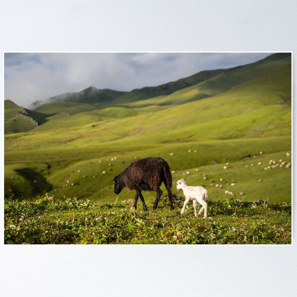 Item preview, Mother and Baby Goat in Himalayan Meadows designed and sold by shuttergallery.