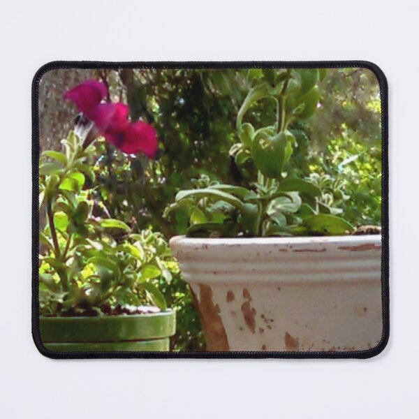 Item preview, Flowers in pots, rustic designed and sold by SimpleatHeart.