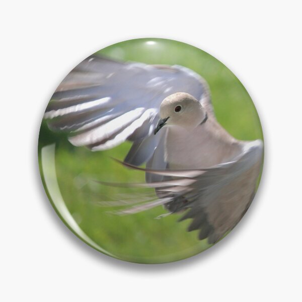 Item preview, Ring callared dove designed and sold by AnthonyThomas.