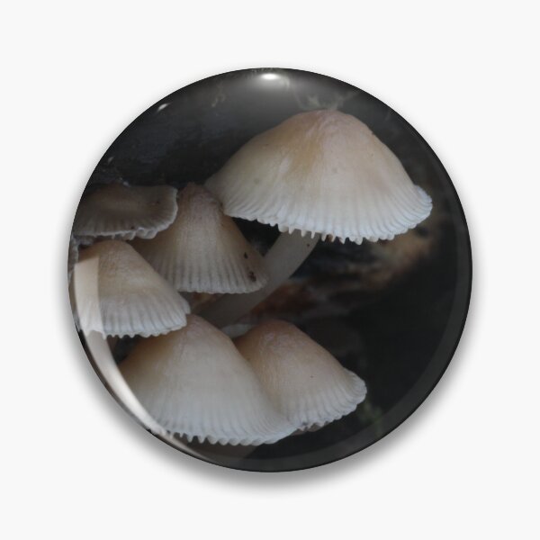 Item preview, Mycena Mushroom Cluster Under Log designed and sold by WolfNoodles.