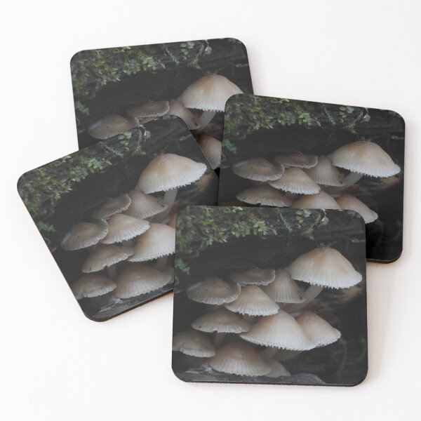 Item preview, Mycena Mushroom Cluster Under Log designed and sold by WolfNoodles.