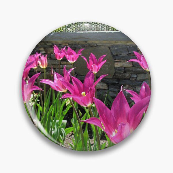 Item preview, Beautifully Brilliant Violet Tulips  designed and sold by BostonArcImage.