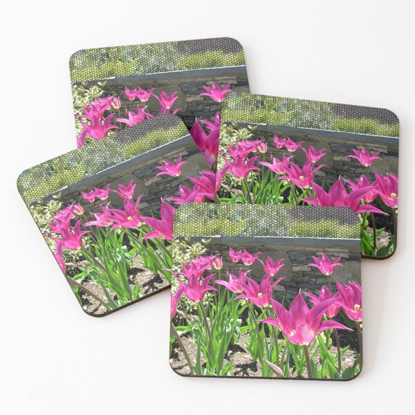 Item preview, Beautifully Brilliant Violet Tulips  designed and sold by BostonArcImage.