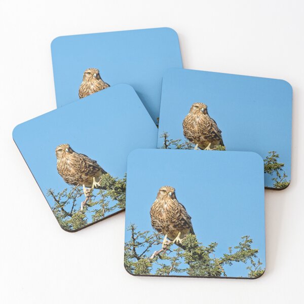 Item preview, Greater Kestrel Watching designed and sold by Kay Brewer.