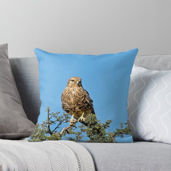 Item preview, Greater Kestrel Watching designed and sold by Kay Brewer.