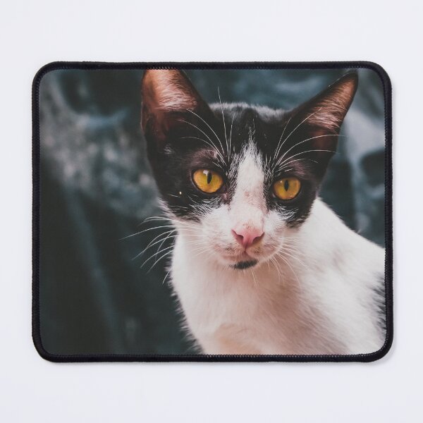 Item preview, A pretty cat in the nature designed and sold by VolcanoMist.