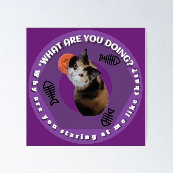 Item preview, sweet cat asks why are you looking at me designed and sold by cahayaku.