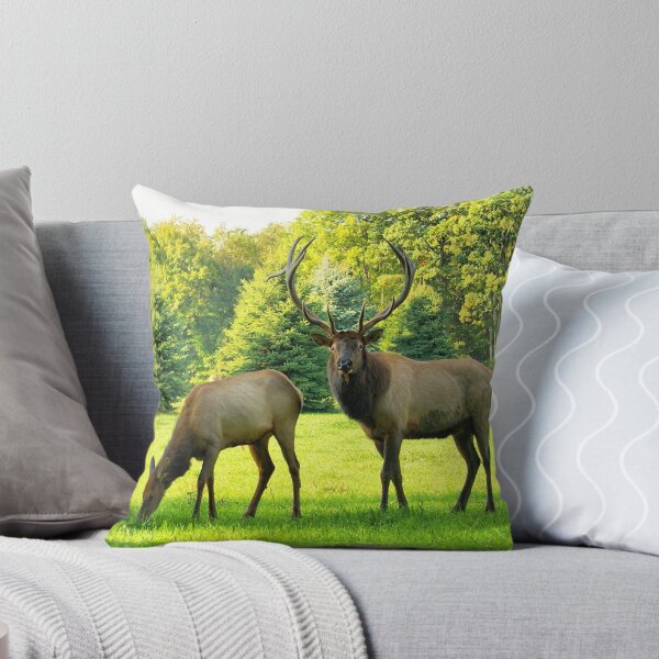 Item preview, Big Bull Elk with Cow 2 designed and sold by Windwalker-Gear.