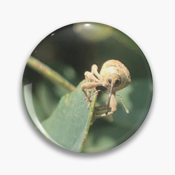 Item preview, A Beautiful Little Weevil designed and sold by bush566.
