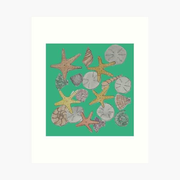 Artikel-Vorschau von Muscheln an der Küste, designt und verkauft von Whimsicalgirl.
