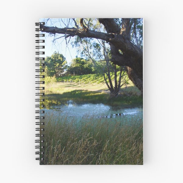 Item preview, Vineyard View - Magpie Springs - Adelaide Hills Wine Region - Fleurieu Peninsula - Winery designed and sold by MagpieSprings.