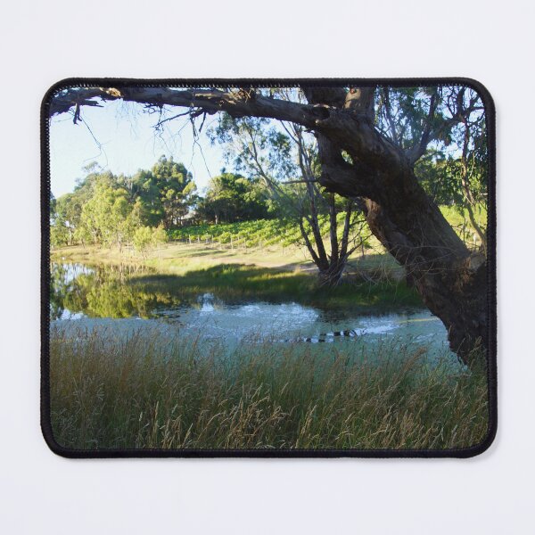 Item preview, Vineyard View - Magpie Springs - Adelaide Hills Wine Region - Fleurieu Peninsula - Winery designed and sold by MagpieSprings.