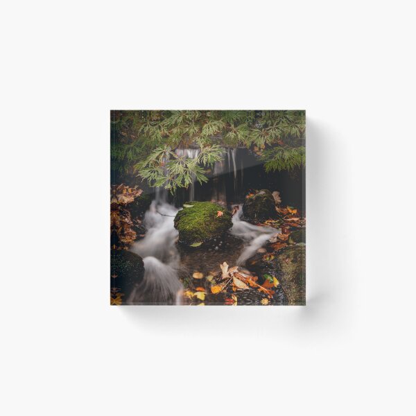 Item preview, Whispers of Autumn - Japanese Garden designed and sold by Akquired Taste.