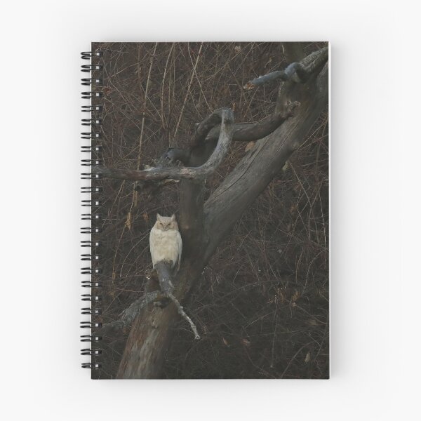 Item preview, Leucistic Great Horned Owl 4 designed and sold by locustgirl.