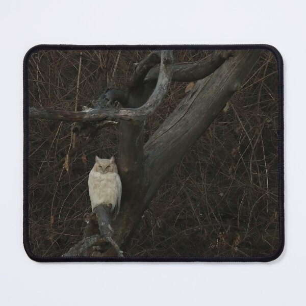 Item preview, Leucistic Great Horned Owl 4 designed and sold by locustgirl.