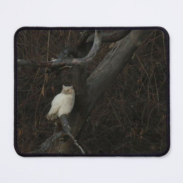 Item preview, Leucistic Great Horned Owl 3 designed and sold by locustgirl.