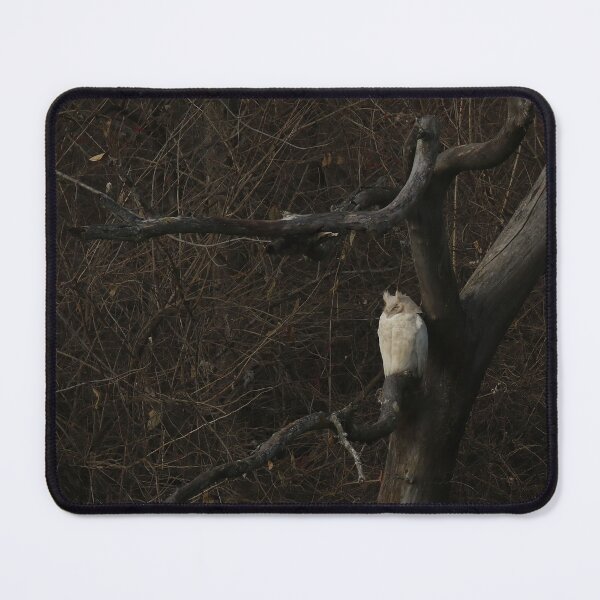 Item preview, Leucistic Great Horned Owl designed and sold by locustgirl.