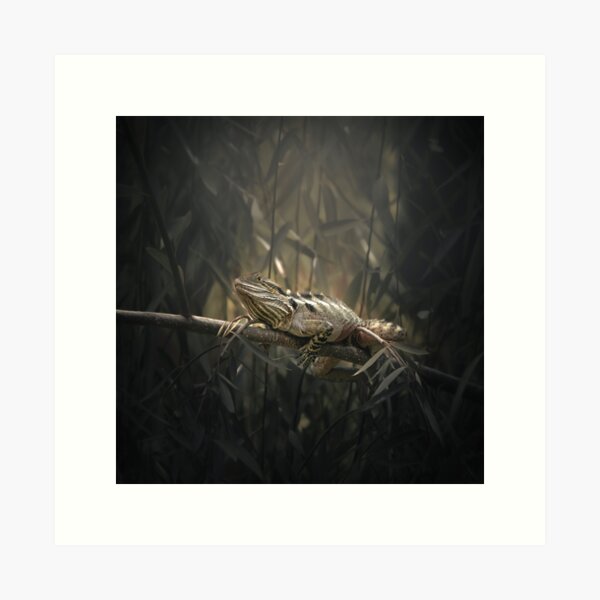 Item preview, Eastern Water Dragon designed and sold by robdwildlife.