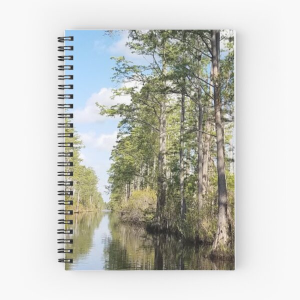 Item preview, Okefenokee Swamp Georgia designed and sold by HinsonCreations.