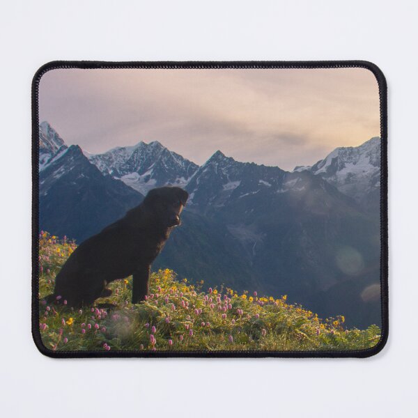 Item preview, Loyal Guardian of the Himalayan Peaks designed and sold by shuttergallery.