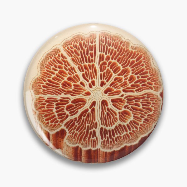 Item preview, Vintage Coral Cross-Section - Botanical Marine Specimen Illustration designed and sold by MVXX.