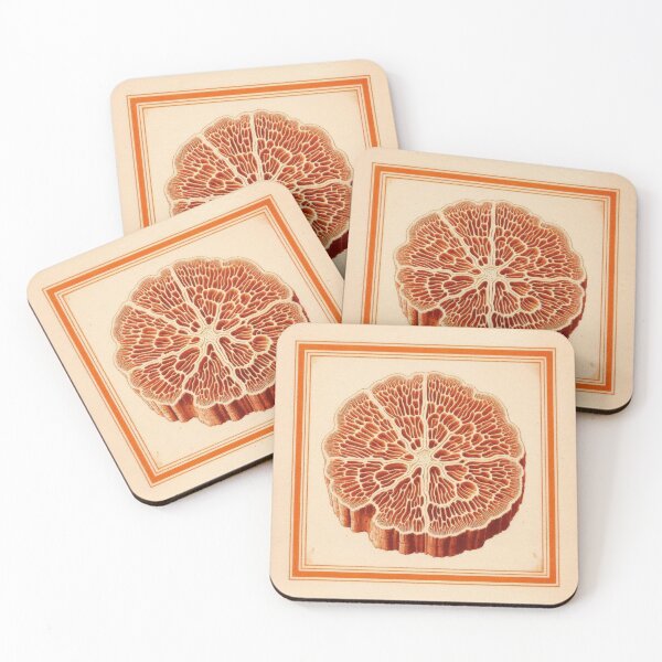 Item preview, Vintage Coral Cross-Section - Botanical Marine Specimen Illustration designed and sold by MVXX.